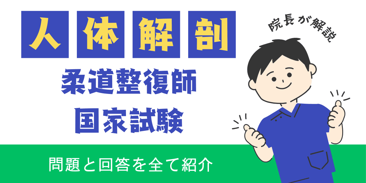 柔道整復師国家試験過去問　解剖学　人体解剖概説