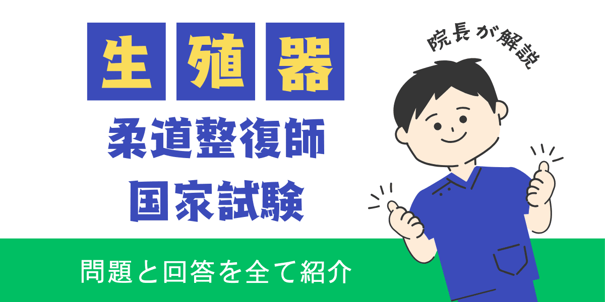 柔道整復師国家試験過去問　解剖学　生殖器