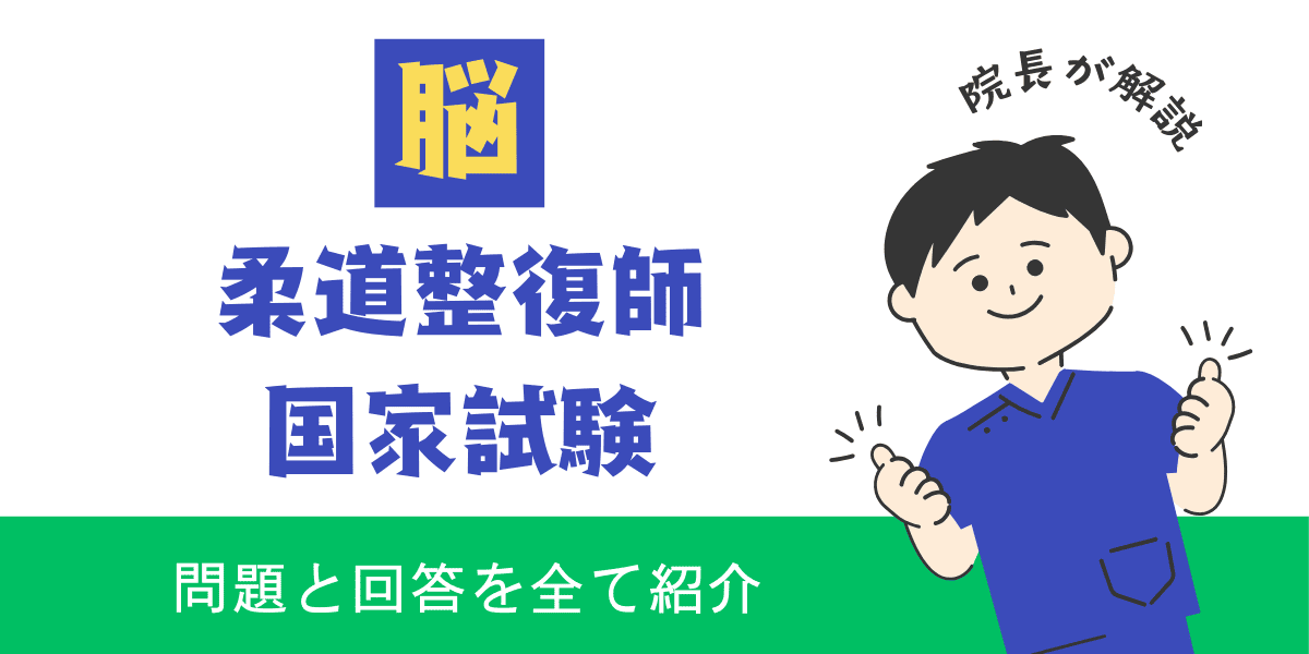 柔道整復師国家試験過去問　解剖学　脳