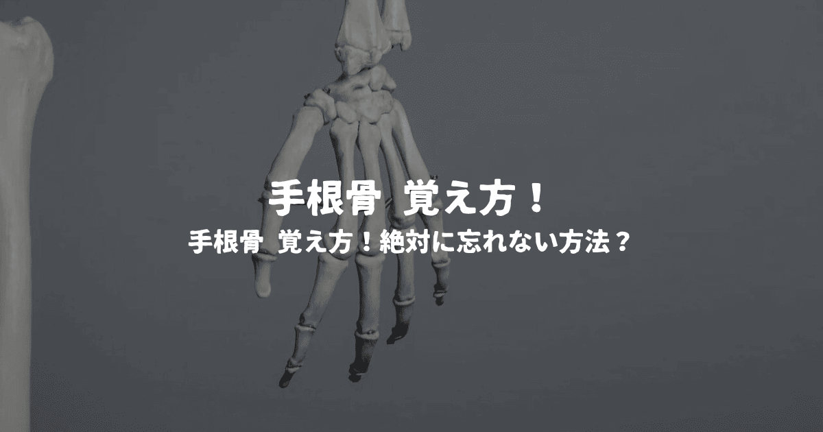 手根骨 覚え方！絶対に忘れない方法？