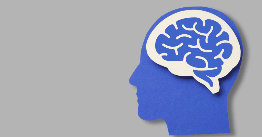 大脳基底核の基本構造を理解する