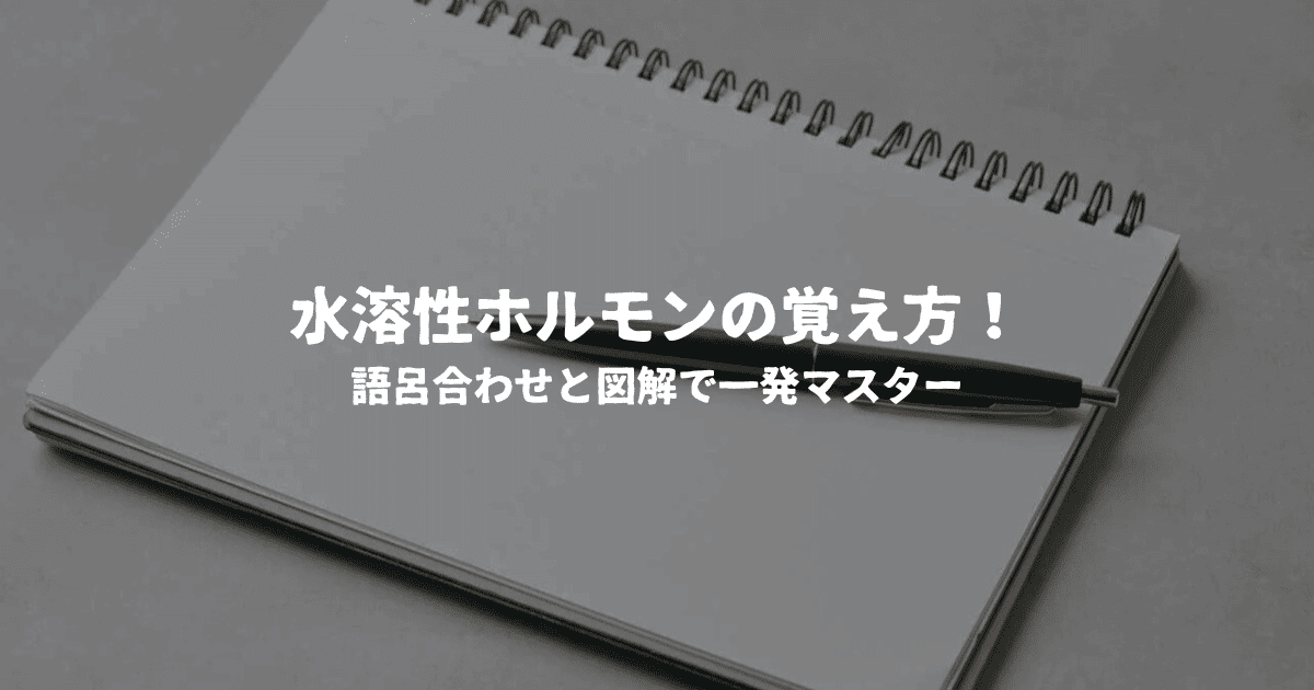 水溶性ホルモンの覚え方!語呂合わせと図解で一発マスター