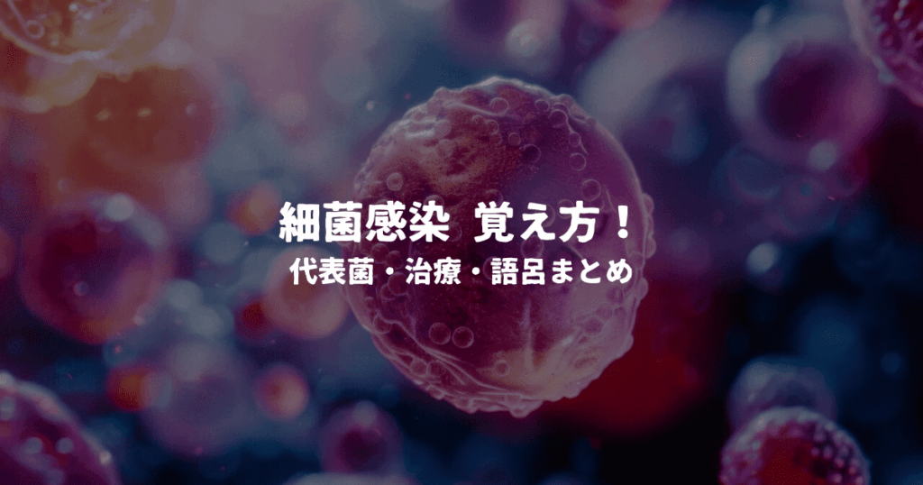 細菌感染 覚え方！代表菌・治療・語呂まとめ
