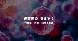 細菌感染 覚え方！代表菌・治療・語呂まとめ